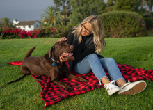 Load image into Gallery viewer, BUFFALO PLAID BOAT/PICNIC BLANKET