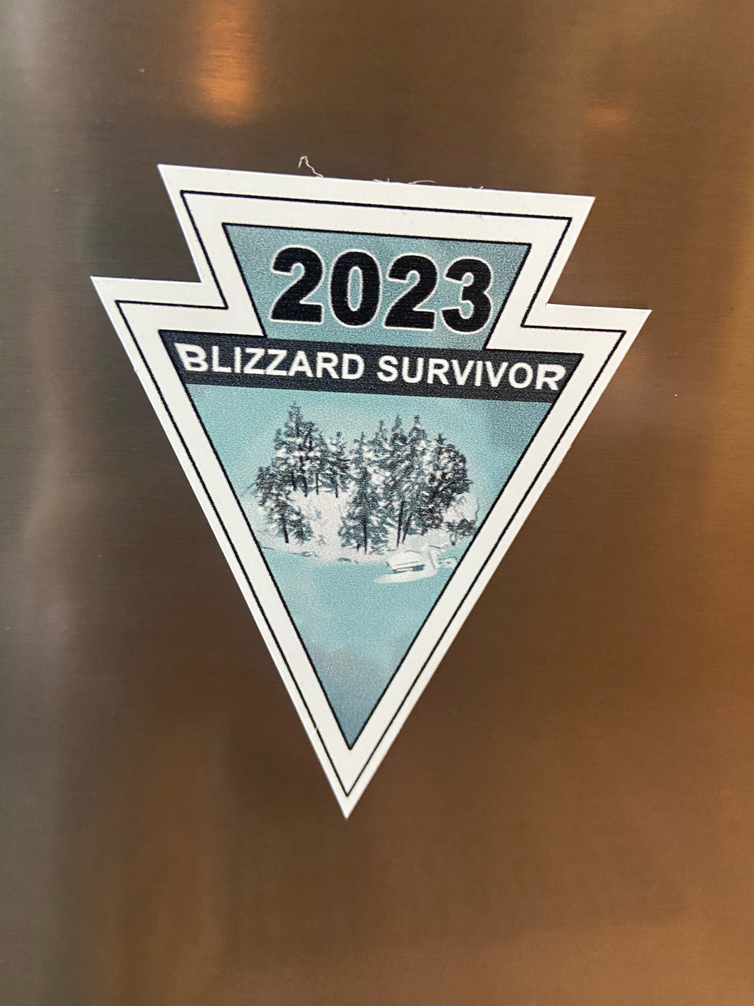 'BLIZZARD SURVIVOR' MAGNET SALE!!!
